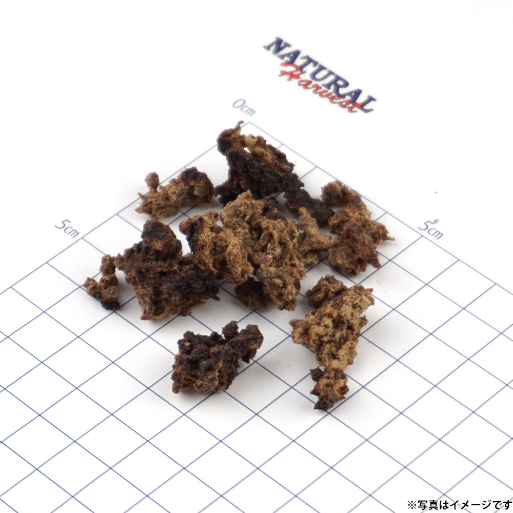 ナチュラルハーベスト NaturalHarvest 国産 北海道クリスプ エゾ鹿 犬用おやつ 20g