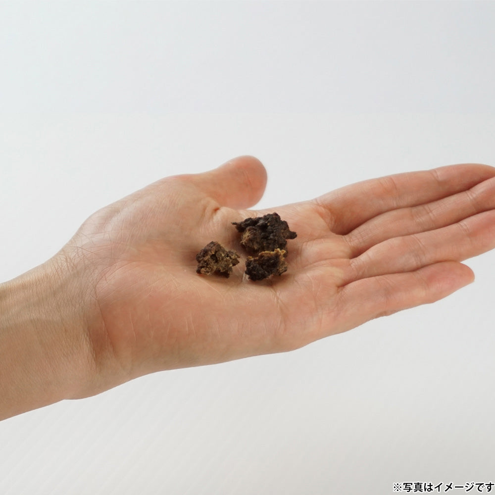 ナチュラルハーベスト NaturalHarvest 国産 北海道クリスプ エゾ鹿 犬用おやつ 20g