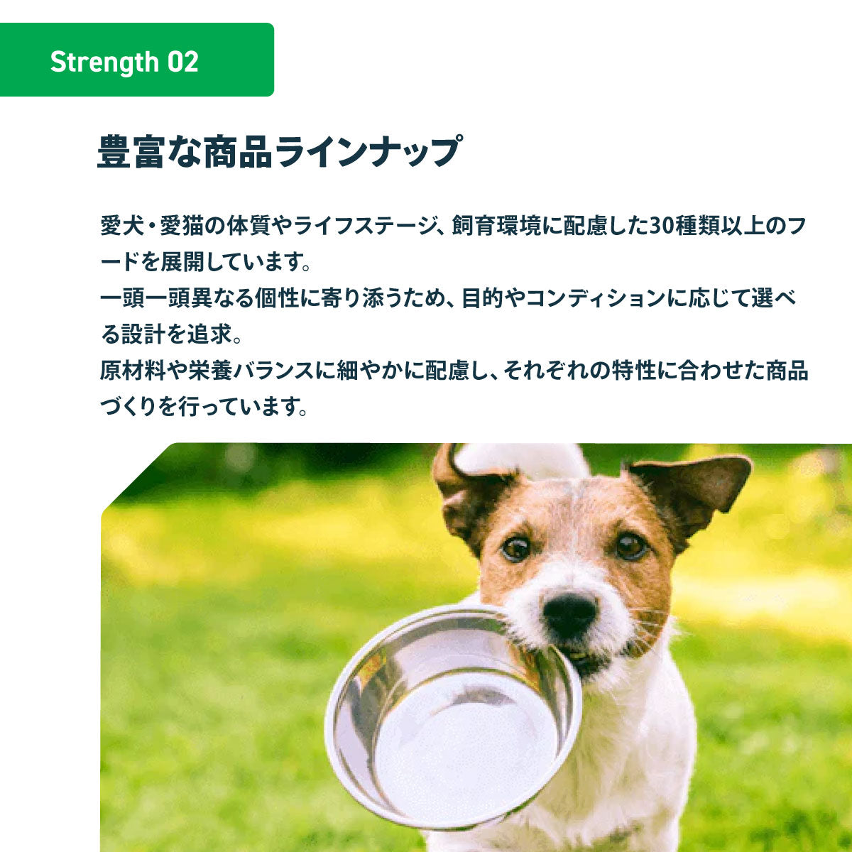 ネイチャーズプロテクション ドッグフード ホワイトドッグ 1.5kg（白毛種 ホワイトコート 成犬 無添加 グルテンフリー プードル マルチーズ ビションフリーゼ シーズー 涙やけ対策）