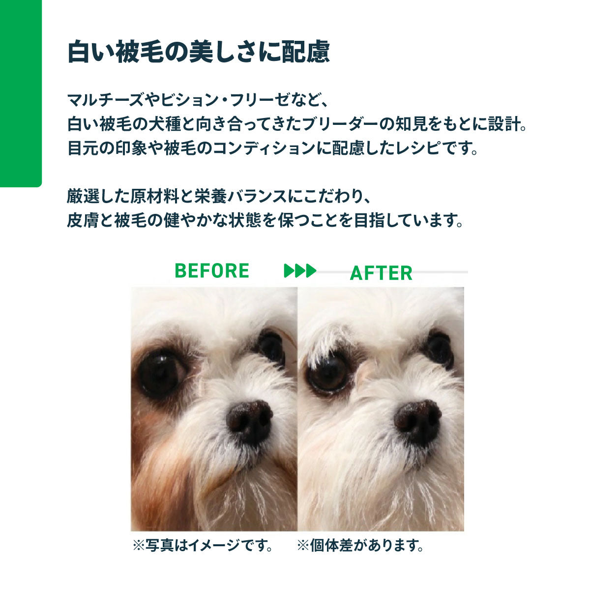 ネイチャーズプロテクション ドッグフード ホワイトドッグ 10kg（白毛種 ホワイトコート 成犬 無添加 グルテンフリー プードル マルチーズ ビションフリーゼ シーズー 涙やけ対策）