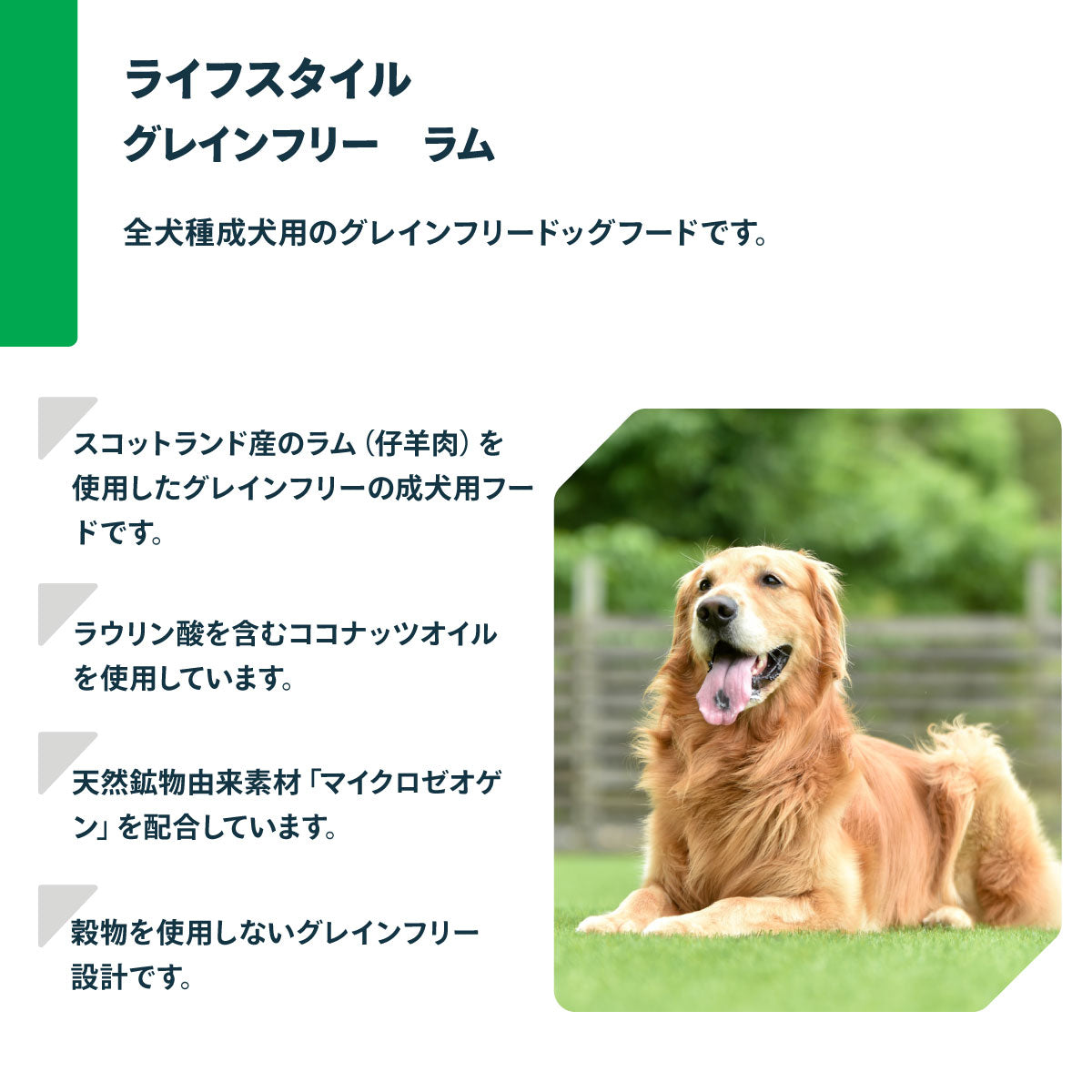ネイチャーズプロテクション ドッグフード ライフスタイル グレインフリー ラム 1.5kg（アレルギー対応 グレインフリー 穀物フリー 無添加 成犬 全犬種 ゼオライト マイクロゼオゲン）