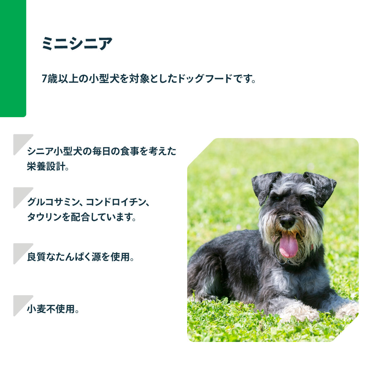 ネイチャーズプロテクション ドッグフード ミニシニア 2kg（7歳以上 無添加 グルテンフリー マイクロゼオゲン ゼオライト）