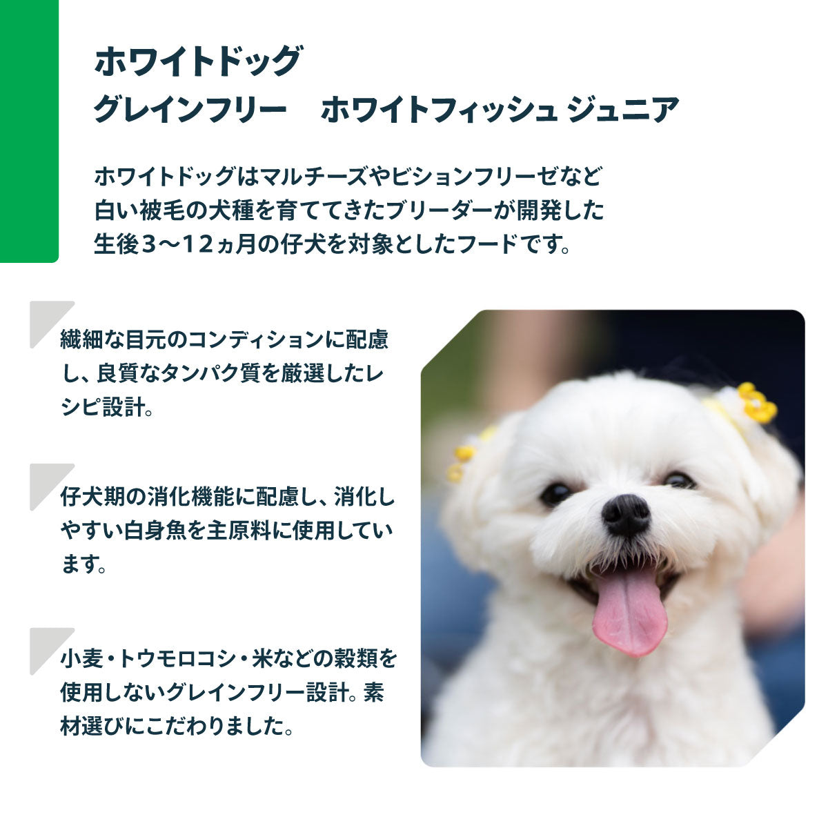 ネイチャーズプロテクション ドッグフード ホワイトドッグ ジュニア 1.5kg 白毛種 ホワイトコート 子犬 無添加 グレインフリー プードル マルチーズ ビションフリーゼ シーズー 涙やけ対策