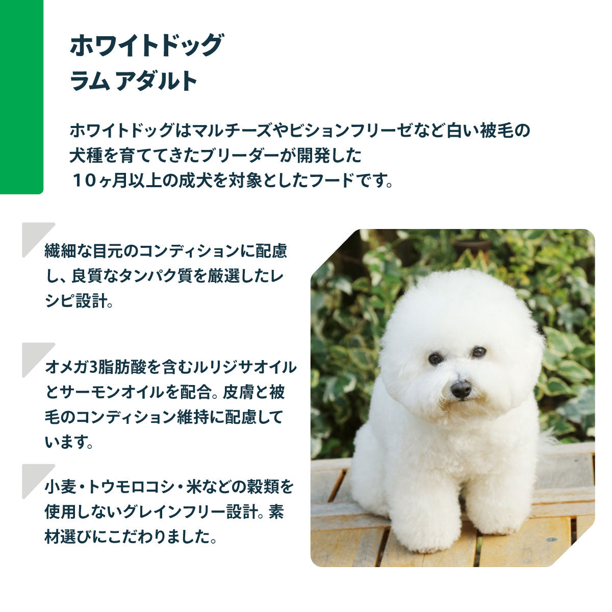 ネイチャーズプロテクション ドッグフード ホワイトドッグ 4kg（白毛種 ホワイトコート 成犬 無添加 グルテンフリー プードル マルチーズ ビションフリーゼ シーズー 涙やけ対策）