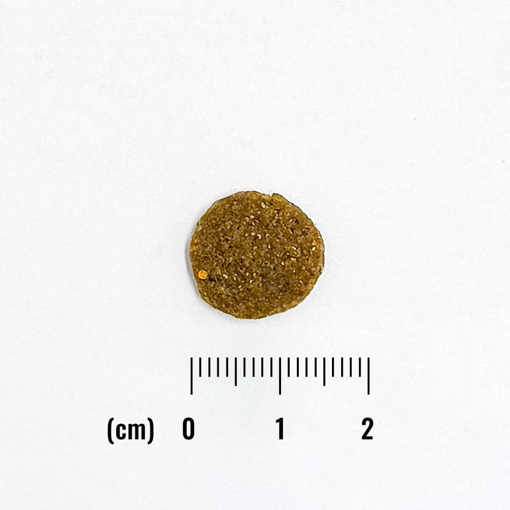 ナチュラルバランス ドッグフード オリジナルウルトラ 全年齢用 鶏肉＆スイートポテト 800g