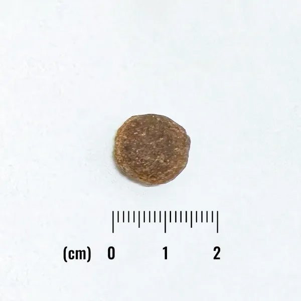 ナチュラルバランス ドッグフード LID グレインフリー 成犬用 サーモン＆スイートポテト 800g×12個セット