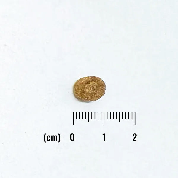 ナチュラルバランス ドッグフード LID グレインフリー 成犬用 サーモン＆スイートポテト 小粒 800g×12個セット