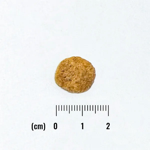 ナチュラルバランス ドッグフード LID グレインフリー 成犬用 スイートポテト＆鹿肉 800g×12個セット