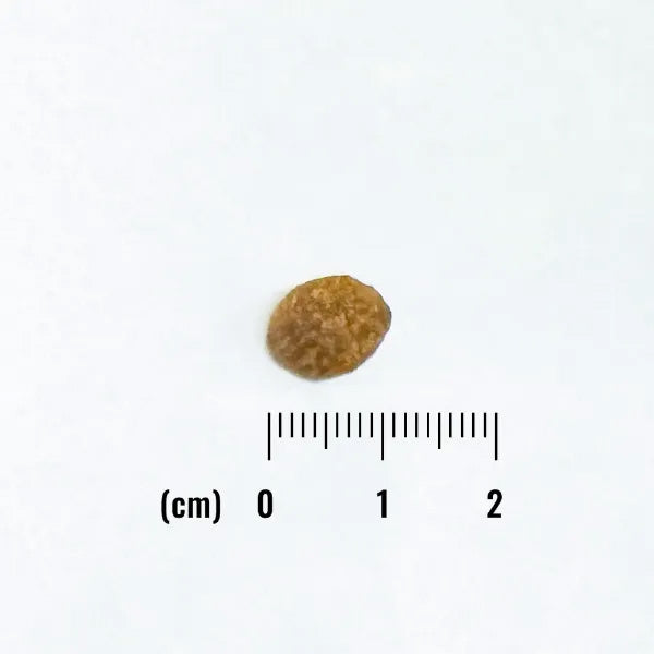 ナチュラルバランス キャットフード オリジナルウルトラ 猫用 チキン＆サーモン 全年齢用 1.8kg