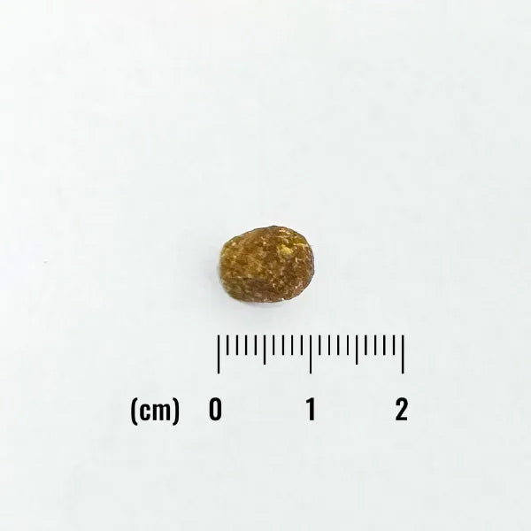 ナチュラルバランス キャットフード オリジナルウルトラ 成猫用 鶏肉＆サーモン インドアキャット 800g×12個セット