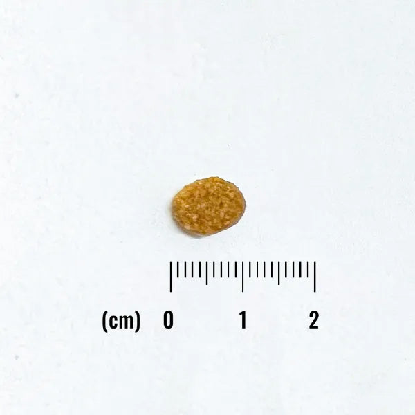 ナチュラルバランス ドッグフード オリジナルウルトラ 犬用 鶏肉＆大麦 小粒 全年齢用 5kg