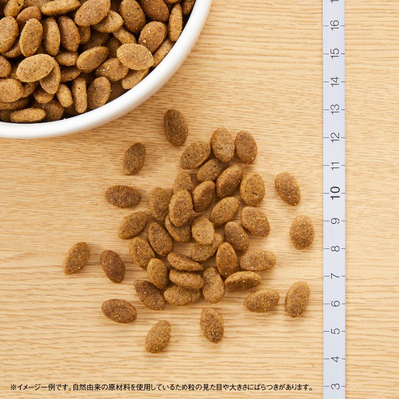 ニュートロ シュプレモ 超小型犬～小型犬用 成犬用 地中海のレシピ ラム 800g（ドッグフード 穀物フリー グレインフリー 無添加 犬）