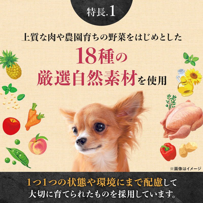 ニュートロ シュプレモ 超小型犬～小型犬用 成犬用 プレミアムブレンド ビーフ 500g 無添加 ドッグフード フリーズドライ 小粒