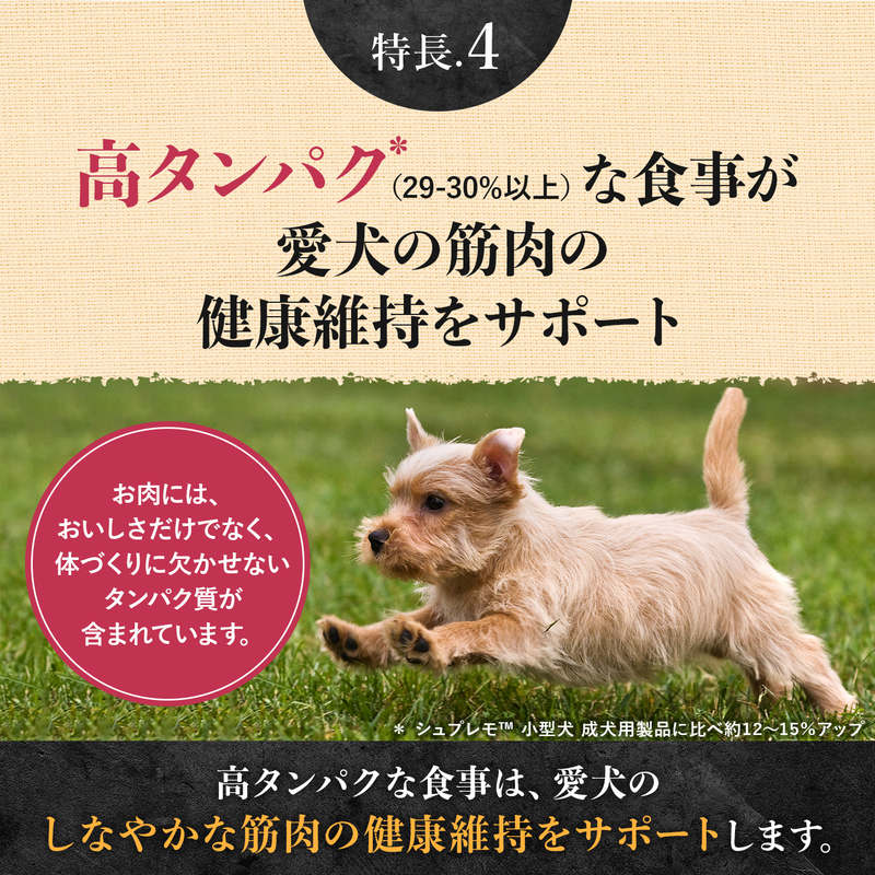 ニュートロ シュプレモ 超小型犬～小型犬用 成犬用 プレミアムブレンド ビーフ 500g 無添加 ドッグフード フリーズドライ 小粒