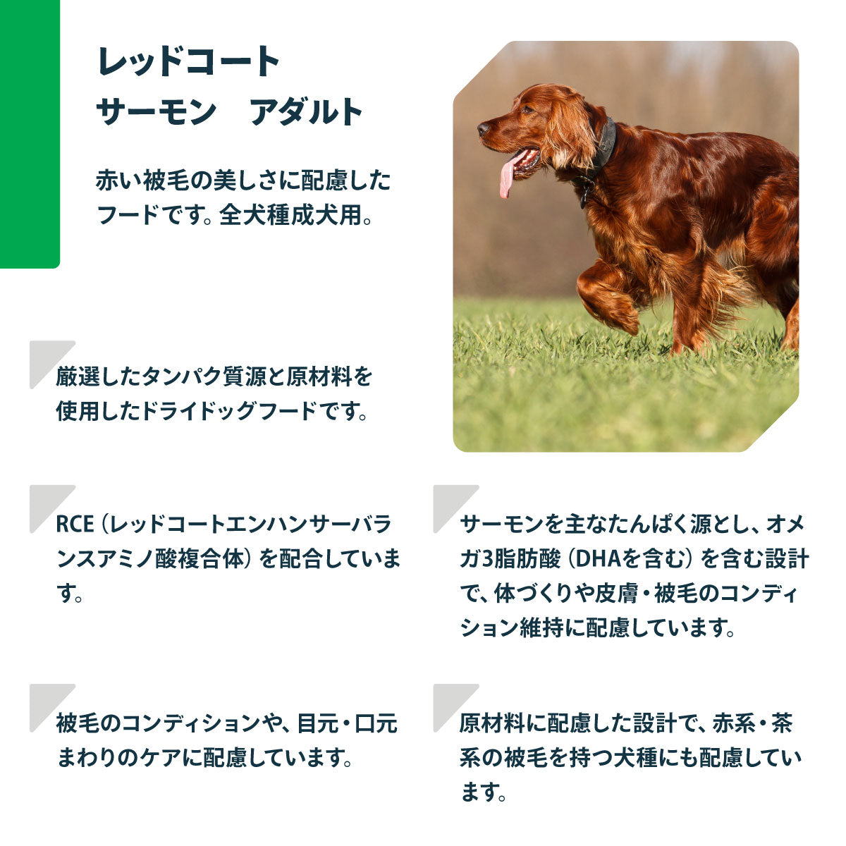 ネイチャーズプロテクション ドッグフード レッドコート・サーモン アダルト 1.5kg×8個セット【送料無料】