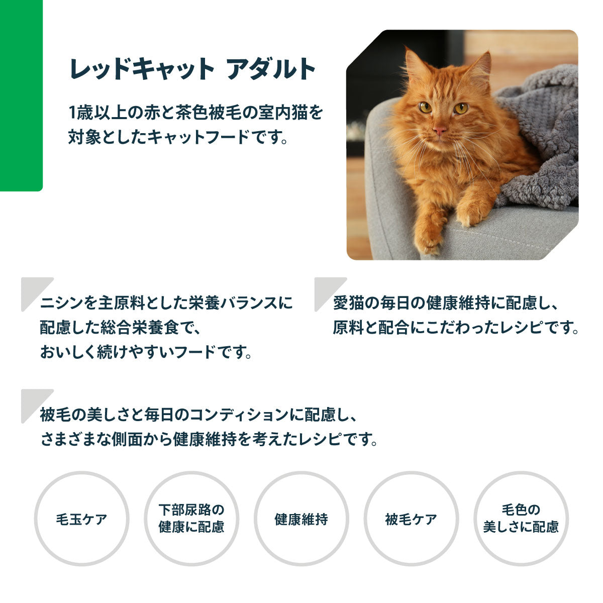 ネイチャーズプロテクション キャットフード レッドキャット アダルト 1.5kg【送料無料】