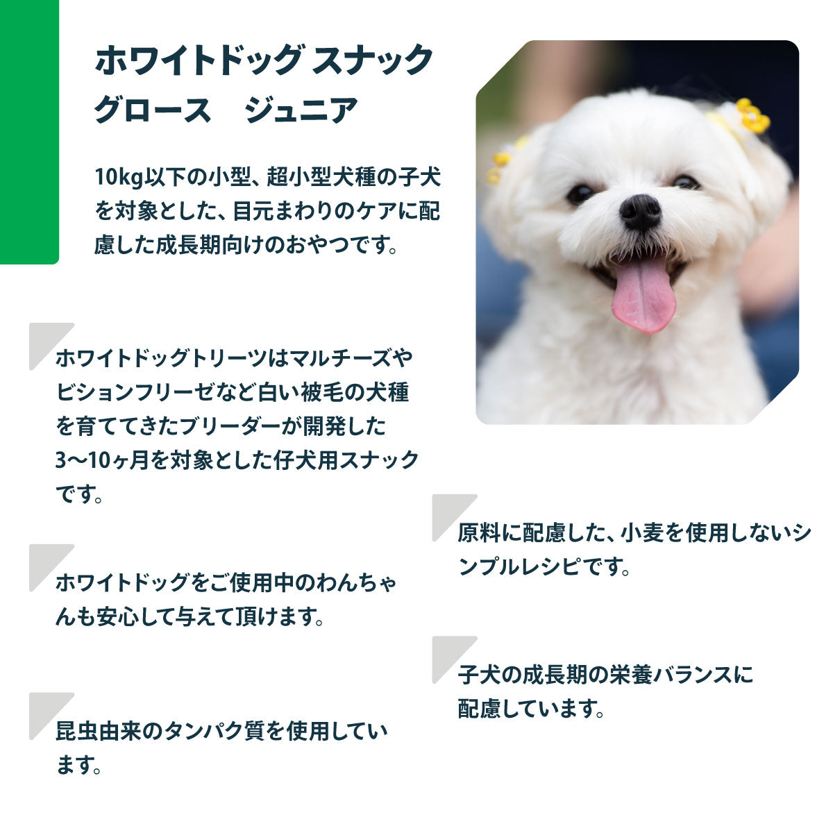 ネイチャーズプロテクション 犬用おやつ ホワイトドッグ スナック グロース ジュニア 150g