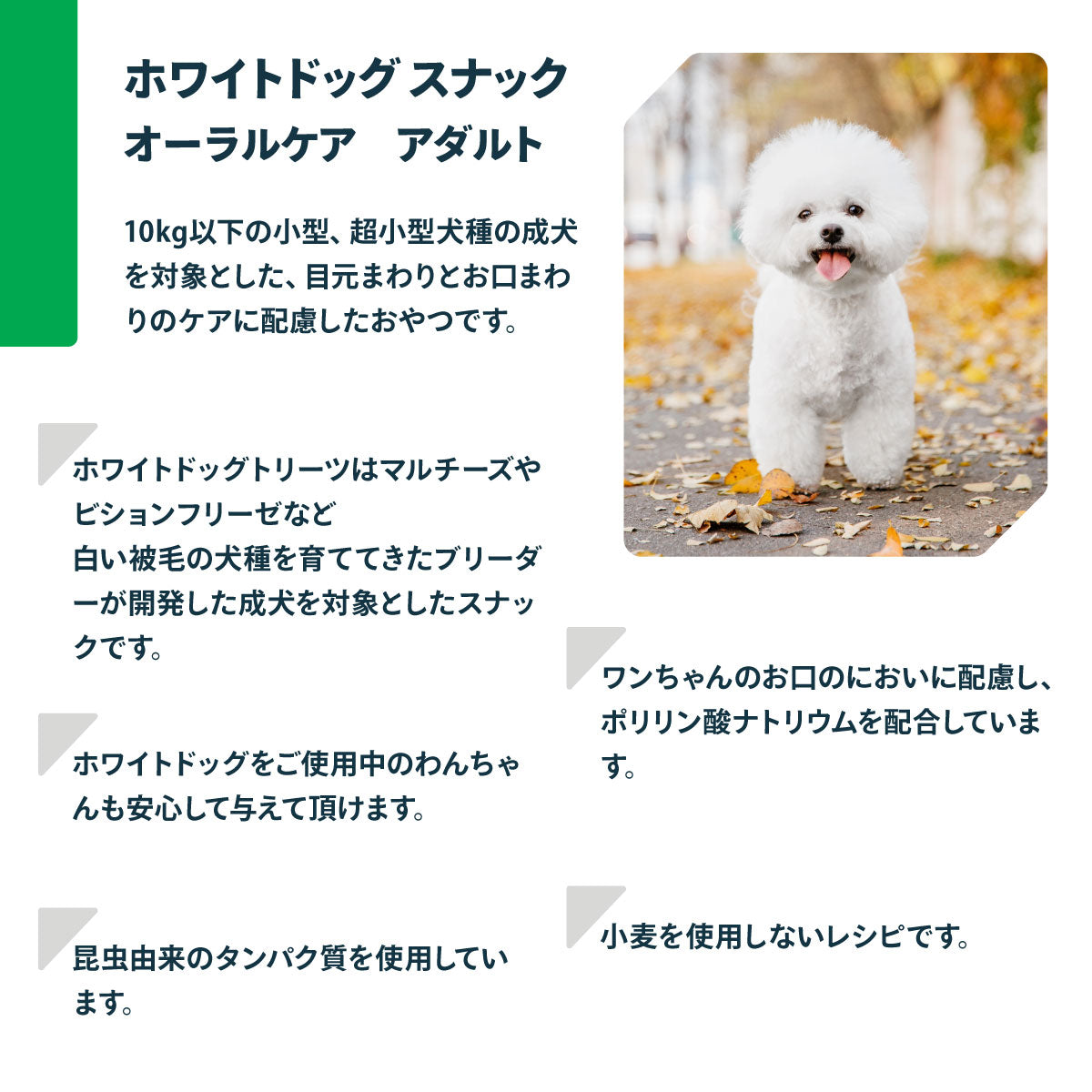 ネイチャーズプロテクション 犬用おやつ ホワイトドッグ スナック オーラルケア アダルト 150g