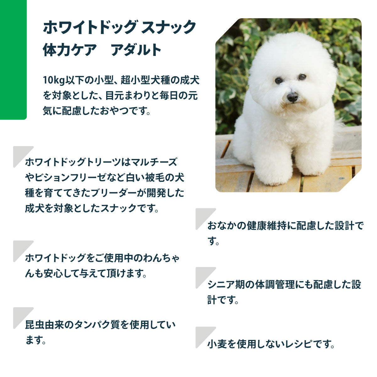 ネイチャーズプロテクション 犬用おやつ ホワイトドッグ スナック 体力ケア アダルト 150g