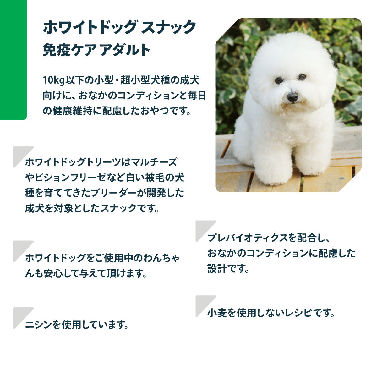 ネイチャーズプロテクション 犬用おやつ ホワイトドッグ スナック 免疫ケア アダルト 150g
