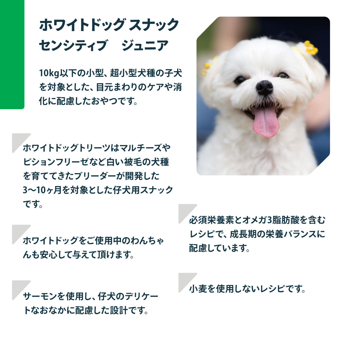 ネイチャーズプロテクション 犬用おやつ ホワイトドッグ スナック センシティブ ジュニア 150g