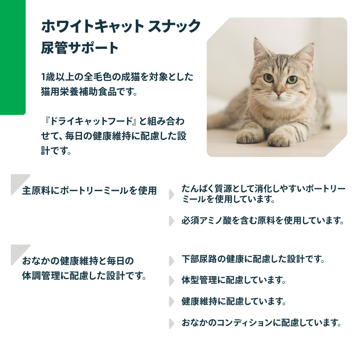 ネイチャーズプロテクション 猫用おやつ ホワイトキャット スナック 尿管サポート 75g