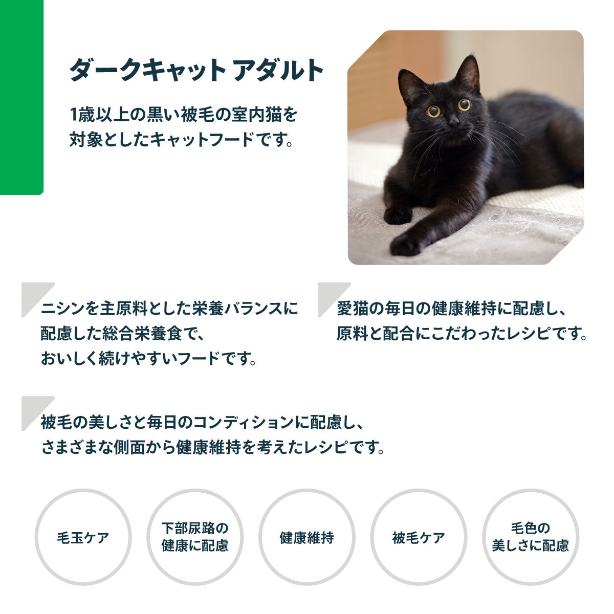 ネイチャーズプロテクション キャットフード ダークキャット アダルト 400g【送料無料】