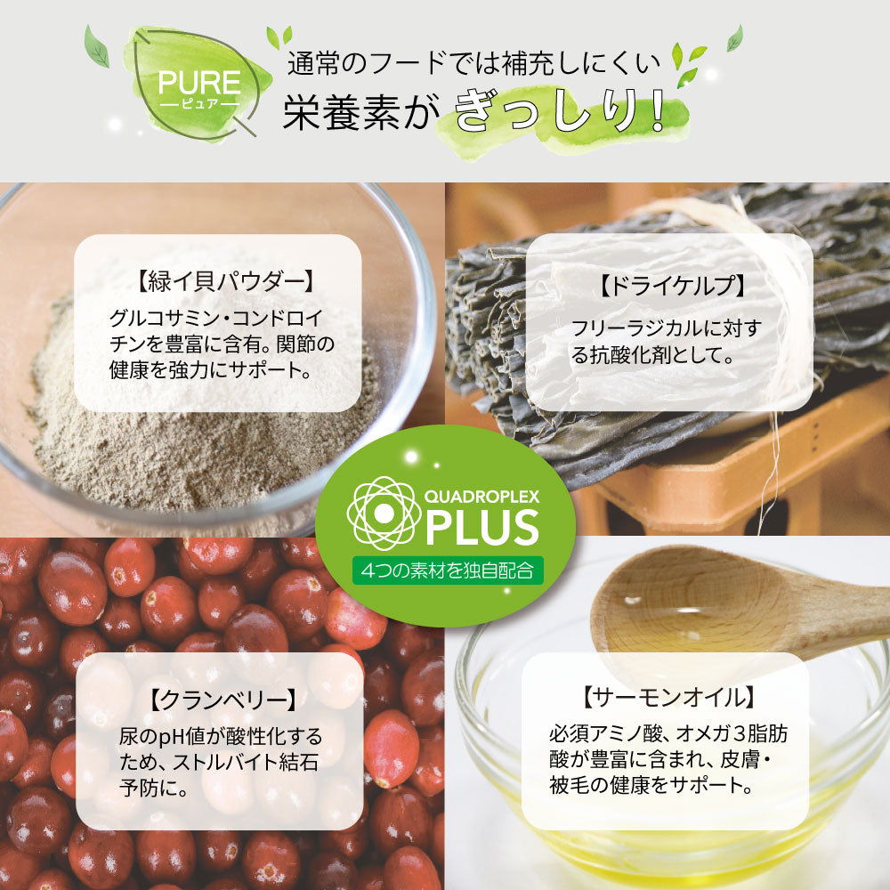 ニュートライプ PURE グリーントライプ ドッグフード 390g×12個