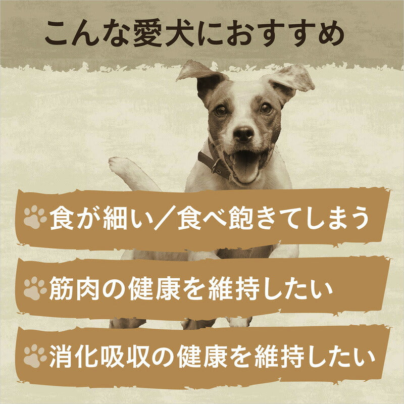 ニュートロ ワイルドレシピ 超小型犬～小型犬用 成犬用 チキン 800g 穀物フリー/ドッグフード/穀物不使用/グレインフリー/無添加