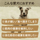 ニュートロ ワイルドレシピ 超小型犬～小型犬用 成犬用 チキン 2kg 穀物フリー/穀物不使用/グレインフリー/無添加