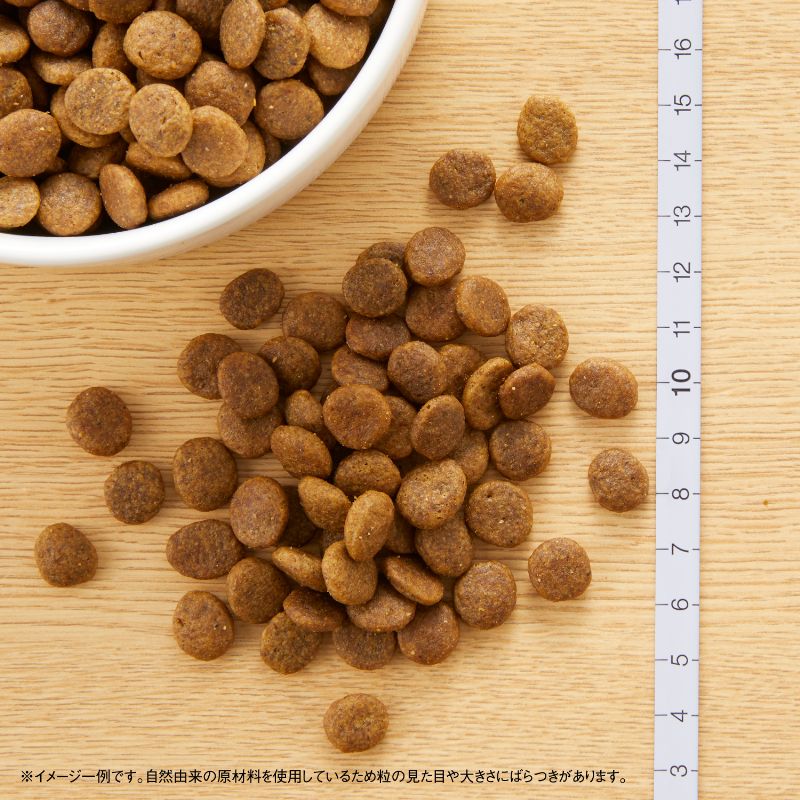 ニュートロ ワイルドレシピ 超小型犬～小型犬用 成犬用 チキン 4kg 穀物フリー/穀物不使用/グレインフリー/無添加/犬
