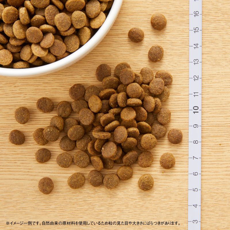 ニュートロ ワイルドレシピ 超小型犬～小型犬用 成犬用 サーモン 4kg 穀物フリー/穀物不使用/グレインフリー/無添加