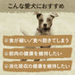 ニュートロ ワイルドレシピ 超小型犬～小型犬用 成犬用 ラム 800g 穀物フリー/ドッグフード/穀物不使用/グレインフリー/無添加/犬 ペットグッズ