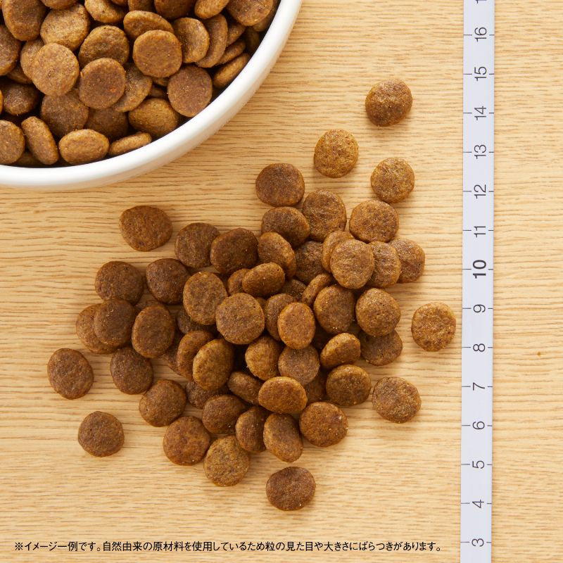 ニュートロ ワイルドレシピ 超小型犬～小型犬用 成犬用 ラム 4kg 穀物フリー/ドッグフード/穀物不使用/グレインフリー/無添加