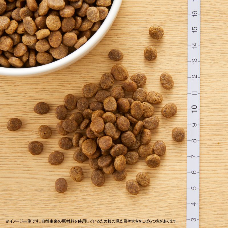 ニュートロ ワイルド レシピ 超小型犬～小型犬用 子犬用 ターキー 800g（ドッグフード 穀物フリー グレインフリー 無添加 犬）