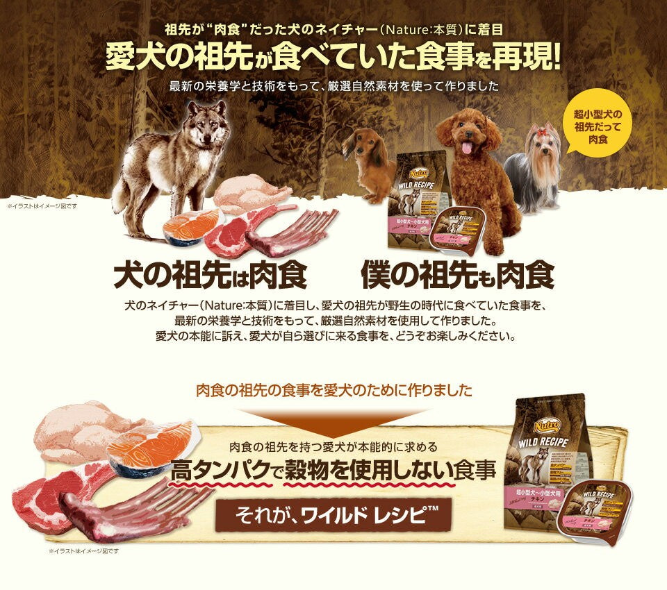 ニュートロ ワイルド レシピ 超小型犬～小型犬用 成犬用 ターキー 800g（ドッグフード 穀物フリー グレインフリー 無添加 犬）