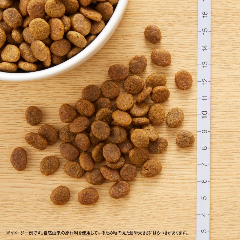 ニュートロ ワイルド レシピ 超小型犬～小型犬用 成犬用 ターキー 4kg（ドッグフード 穀物フリー グレインフリー 無添加 犬）