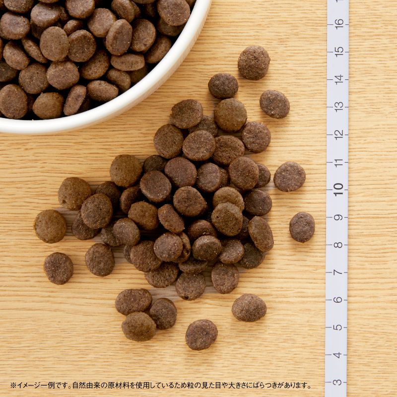 ニュートロ ワイルド レシピ 超小型犬～小型犬用 成犬用 ビーフ 800g（ドッグフード 穀物フリー グレインフリー 無添加 犬）