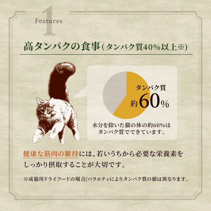 ニュートロ キャットフード ワイルドレシピ キトン チキン 子猫用 400g 穀物フリー グレインフリー 無添加 ナチュラル猫用