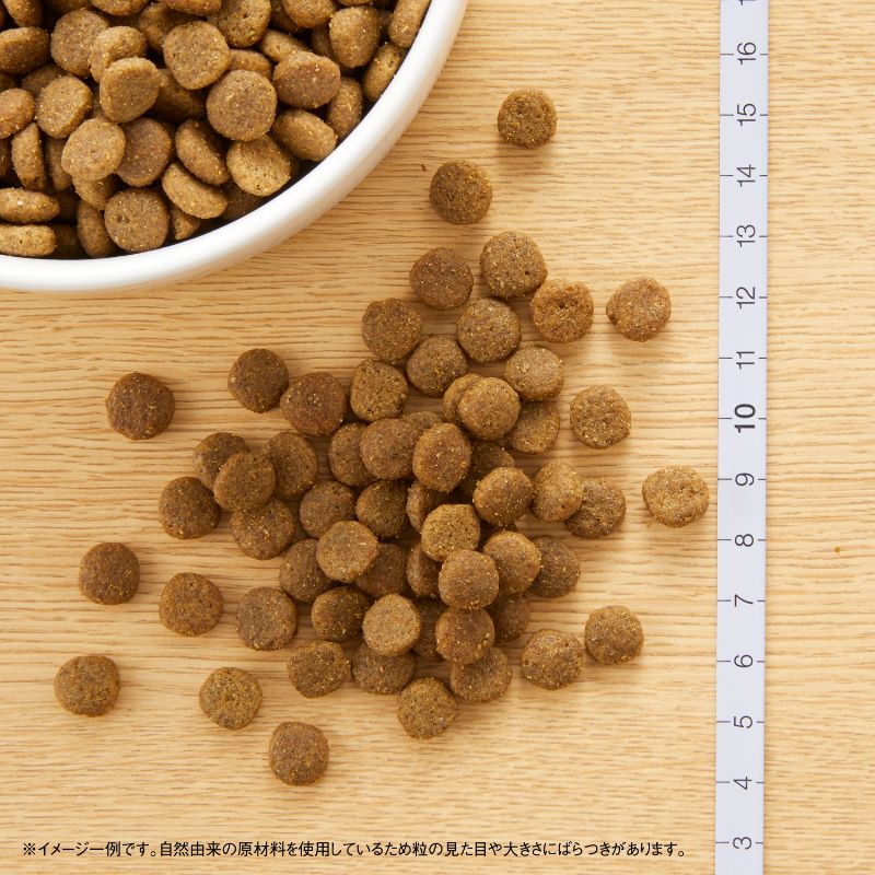 ニュートロ キャットフード ワイルドレシピ アダルト 白身魚 成猫用 2kg×8袋セット 穀物フリー グレインフリー 無添加 ナチュラル猫用