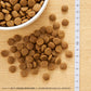 ニュートロ キャットフード ワイルドレシピ アダルト チキン 成猫用 2kg 穀物フリー グレインフリー 無添加 ナチュラル猫用