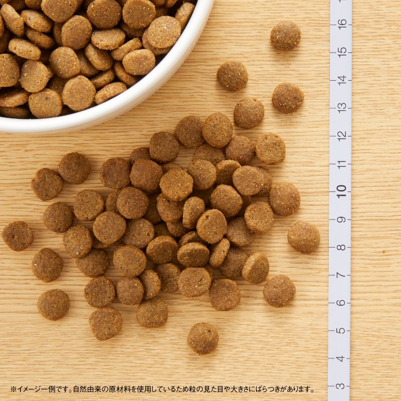 ニュートロ キャットフード ワイルドレシピ アダルト チキン 成猫用 2kg 穀物フリー グレインフリー 無添加 ナチュラル猫用