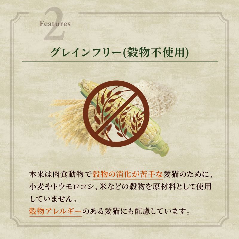 ニュートロ キャットフード ワイルドレシピ アダルト サーモン 成猫用 2kg 穀物フリー グレインフリー 無添加 ナチュラル猫用