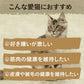 ニュートロ キャットフード ワイルドレシピ アダルト サーモン 成猫用 2kg 穀物フリー グレインフリー 無添加 ナチュラル猫用