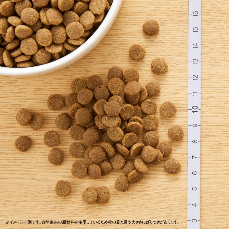 ニュートロ キャットフード ワイルドレシピ エイジングケア チキン シニア猫用 400g 穀物フリー グレインフリー 無添加 ナチュラル猫用