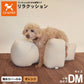 OneAidリラクッション用撥水カバー 中型犬用 M オレンジ