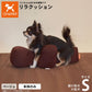 リラクッション ペット S ベージュ OneAid 犬用 猫用 介護 介護用品 ベッド 姿勢安定小型犬用