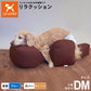 OneAid リラクッション 撥水カバーセット 小型短足犬用 DM 本体：ブルー カバー：オレンジ