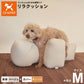 OneAid リラクッション 撥水カバーセット 中型犬用 M 本体：ベージュ カバー：オレンジ