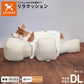 OneAid リラクッション 撥水カバーセット 中大型短足犬用 DL 本体：ベージュ カバー：オレンジ